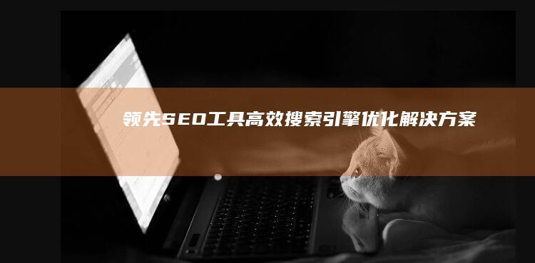 领先SEO工具：高效搜索引擎优化解决方案